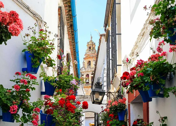 Plaza La Merced. Vistas Impresionantes