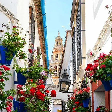 Plaza La Merced. Vistas Impresionantes
